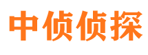 沙坪坝侦探公司